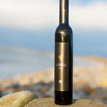 Garavogue_pic-350x350 Garavogue_pic-350x350